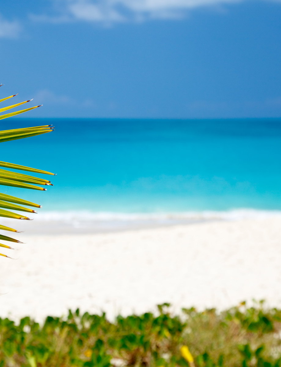 Empty leg flights to and from Turks And Caicos