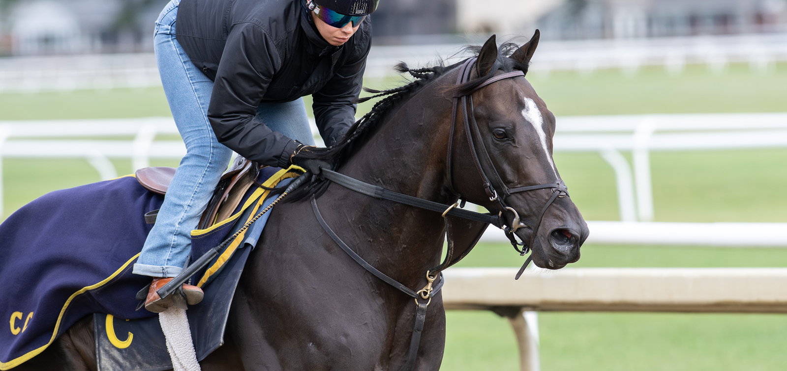 A thoroughbred and rider working on a turf course in morning training