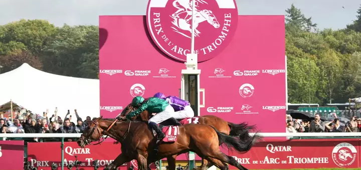 Two horses at the finish of the Prix de l’Arc de Triomphe at Longchamp