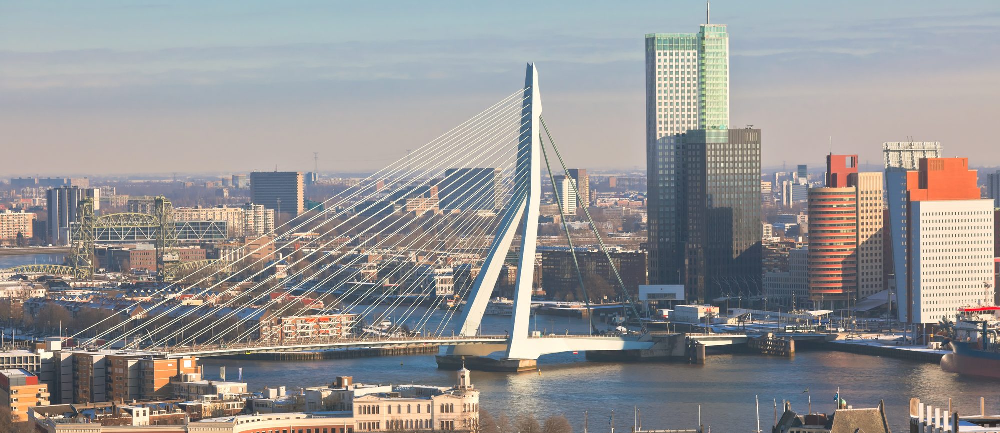 Rotterdam seen from the Euromast