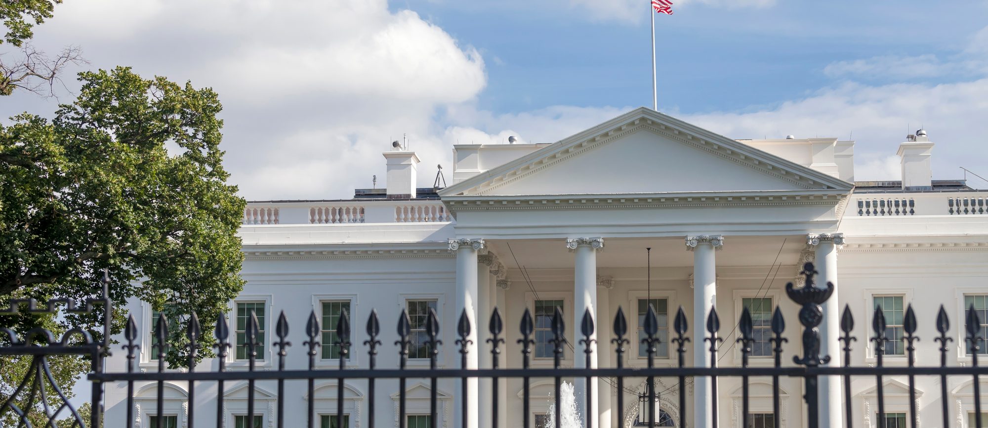 The White House in Washington DC
